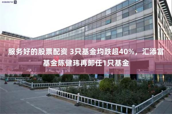 服务好的股票配资 3只基金均跌超40%，汇添富基金陈健玮再卸任1只基金