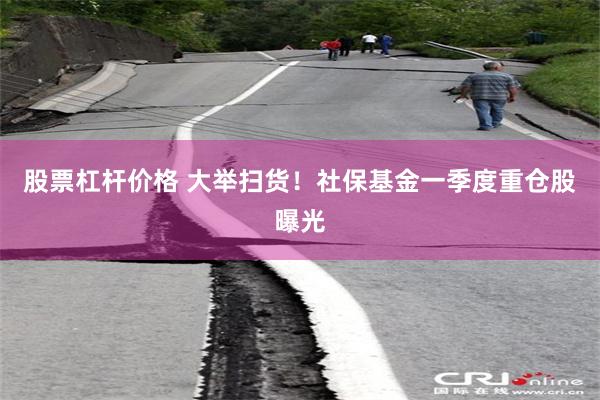股票杠杆价格 大举扫货！社保基金一季度重仓股曝光