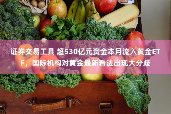 证券交易工具 超530亿元资金本月流入黄金ETF，国际机构对黄金最新看法出现大分歧