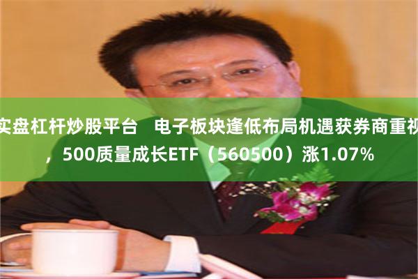 实盘杠杆炒股平台   电子板块逢低布局机遇获券商重视，500质量成长ETF（560500）涨1.07%