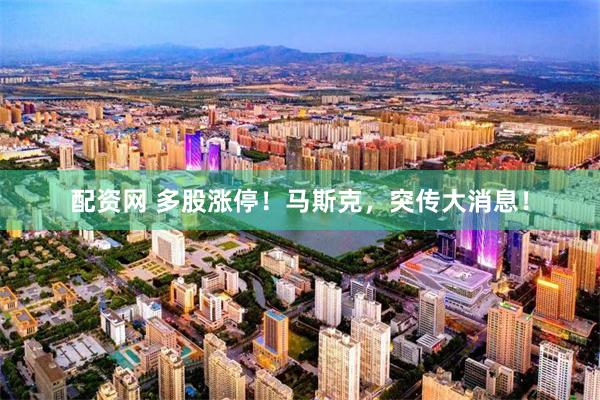配资网 多股涨停！马斯克，突传大消息！