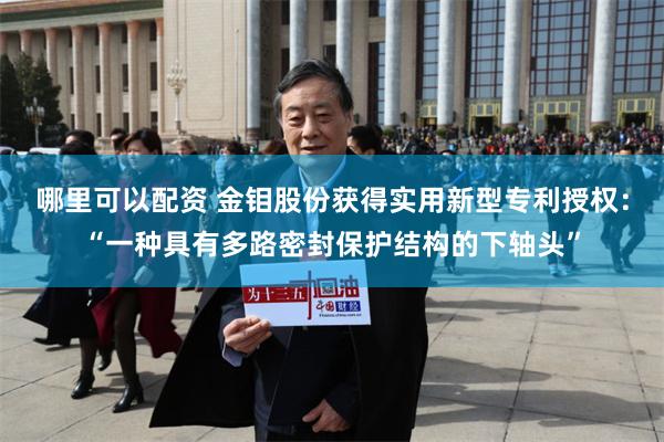 哪里可以配资 金钼股份获得实用新型专利授权：“一种具有多路密封保护结构的下轴头”