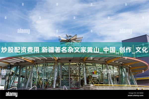 炒股配资费用 新疆著名杂文家黄山_中国_创作_文化