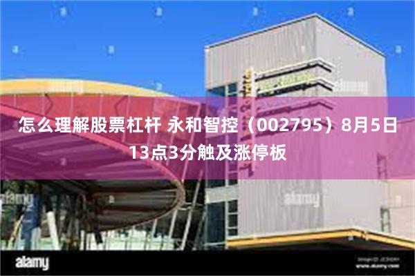 怎么理解股票杠杆 永和智控（002795）8月5日13点3分触及涨停板