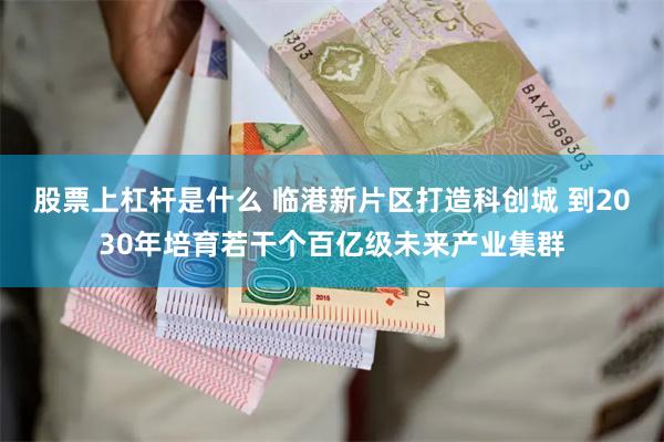 股票上杠杆是什么 临港新片区打造科创城 到2030年培育若干个百亿级未来产业集群