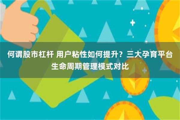何谓股市杠杆 用户粘性如何提升？三大孕育平台生命周期管理模式对比